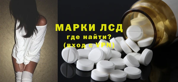 прущие грибы Аркадак