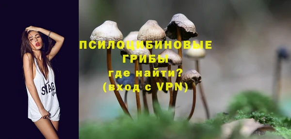 ГАЛЛЮЦИНОГЕННЫЕ ГРИБЫ Алексин