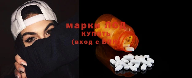 ГАЛЛЮЦИНОГЕННЫЕ ГРИБЫ Алексин