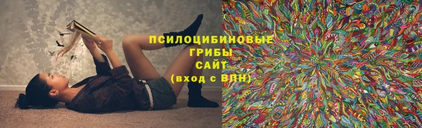 метадон Алексеевка
