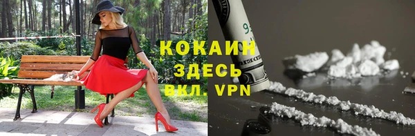 прущие грибы Аркадак