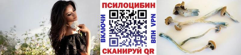 Псилоцибиновые грибы ЛСД  купить наркоту  Унеча 